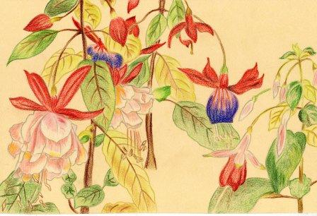 Contes et L&eacute;gendes : L&eacute;gende chinoise - Le Ma&icirc;tre et le Bambou (03)